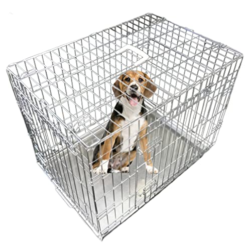 Ellie-Bo Hundekäfig, für kleine bis große Hunde, zusammenklappbar, Metall-Bodenschale lässt sich herausnehmen, aber nicht zerbeißen, 2 silberne Türen, mittelgroß mit ca. 76 cm, silberfarben Ellie-Bo Hundekäfig, für kleine bis große Hunde, zusammenklappbar, Metall-Bodenschale lässt sich herausnehmen, aber nicht zerbeißen, 2 silberne Türen, mittelgroß mit ca. 76 cm, silberfarben von Ellie-Bo