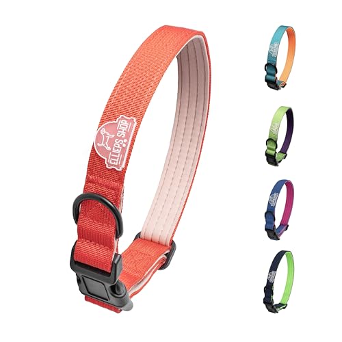 Ellieps Shop Strapazierfähiges Hundehalsband, 2,5 cm / 3,8 cm breit, Premium-Nylon-Halsband mit weicher Neopren-Polsterung, verstellbar, für kleine, mittelgroße und große Rassen (Rot/Beige, Größe M von Ellieps Shop