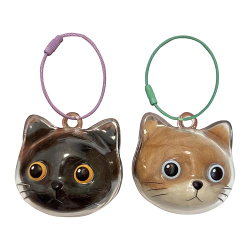 Elegantes Pet Memorial Anhänger Für Kätzchen Katzen Kopfform Haarspeicherplastik Plastik Klares Andenken Juwelier Charme Geschenk Katzen Pelze Keaturen Keeyring von Elnwnnkc