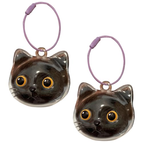 Elegantes Pet Memorial Anhänger Für Kätzchen Katzen Kopfform Haarspeicherplastik Plastik Klares Andenken Juwelier Charme Geschenk Katzen Pelze Keaturen Keeyring von Elnwnnkc