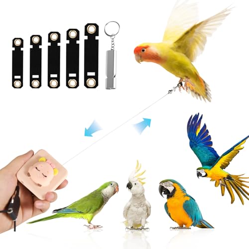 Elyssnova 2024 Vogelgeschirr, einziehbare Papageienleine, verwendet für Vogelflugtraining, 0-6 m, frei verstellbar, geeignet für verschiedene Vögel Elyssnova 2024 Vogelgeschirr, einziehbare Papageienleine, verwendet für Vogelflugtraining, 0-6 m, frei verstellbar, geeignet für verschiedene Vögel von Elyssnova