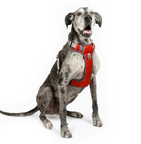 Embark No-Pull-Hundegeschirr einstellbar weich Brustgeschirr einfach sicher Kontrolle bequem für Hunde Haustier, ohne Choke (XL (104-120 cm, Orange) von Embark Pets