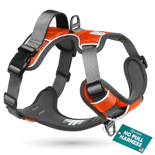 Embark No-Pull-Hundegeschirr einstellbar weich Brustgeschirr einfach sicher Kontrolle bequem für Hunde Haustier, ohne Choke (XL (104-120 cm, Orange) von Embark Pets