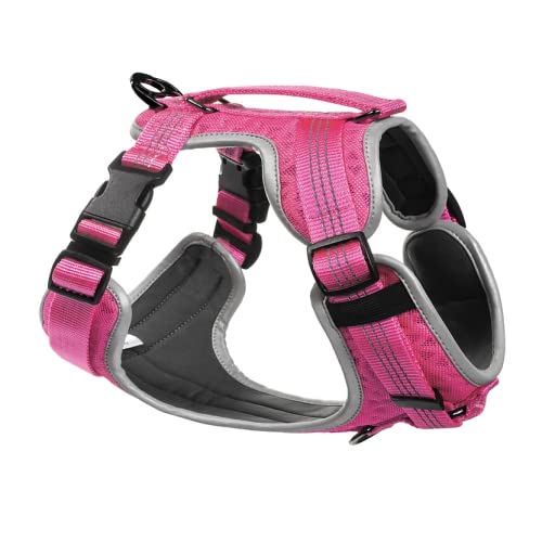 Embark Pets Embark Sports Hundegeschirr, kein Ziehen, vorne führendes Hundegeschirr – einfaches An- und Ausziehen, atmungsaktives Hundegeschirr mit Kontrollgriff – größenverstellbar und nicht verschlu Embark Pets Embark Sports Hundegeschirr, kein Ziehen, vorne führendes Hundegeschirr – einfaches An- und Ausziehen, atmungsaktives Hundegeschirr mit Kontrollgriff – größenverstellbar und nicht verschlu von Embark Pets