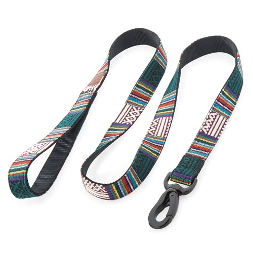 Embark Urban Hundeleine – Bunte, starke und stabile Hundeleine, mittelgroße Hunde, kleine und große Hunderassen (Mayan, 122 cm) von Embark Pets