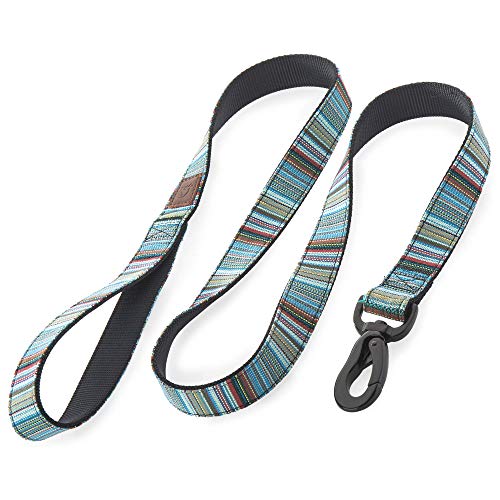 Embark Urban Hundeleine - Einzigartige, lebendige, starke und stabile Nylon-Hundeleinen für kleine Hunde, Hundeleinen mittelgroße Hunde und Hundeleinen für große Rassen, robuste Hundeleine - Embark Urban Hundeleine - Einzigartige, lebendige, starke und stabile Nylon-Hundeleinen für kleine Hunde, Hundeleinen mittelgroße Hunde und Hundeleinen für große Rassen, robuste Hundeleine - von Embark Pets