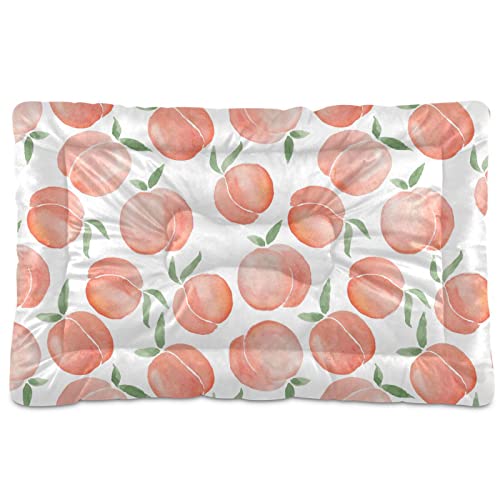 Emelivor Peaches Hunde- und Katzenbett, waschbar, rutschfest, bequem, für kleine und mittelgroße Hunde und Katzen, 45,7 x 61 cm Emelivor Peaches Hunde- und Katzenbett, waschbar, rutschfest, bequem, für kleine und mittelgroße Hunde und Katzen, 45,7 x 61 cm von Emelivor