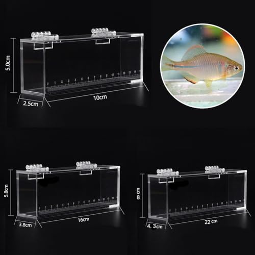Klarer Beobachtungsbehälter für Fische, funktionaler Acryl-Sichtkasten mit Messskala (klein) von Emiif