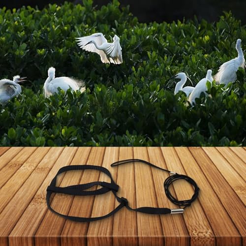 Nylon-Trainingsgeschirr für Papageien mit verstellbaren Funktionen für ultimativen Komfort (M) von Emiif