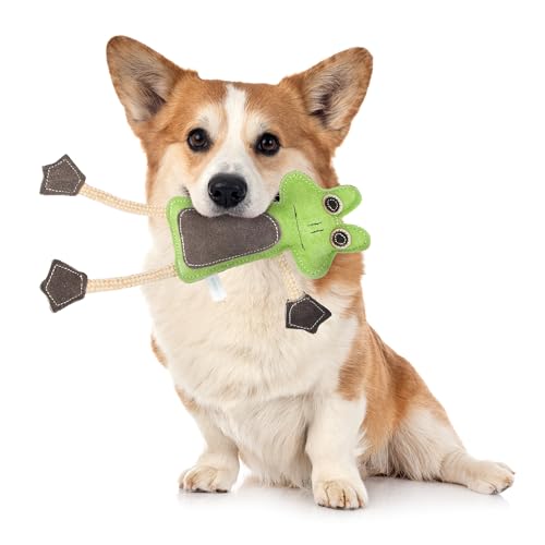Emmi-pet Zerrspielzeug Frosch - Stressabbau für Hunde I Zahnpflege I Mit Kokosfaserfüllung I Ideal für für Welpen, mittelgroß & große Hunde I 1 Stück von Emmi-pet