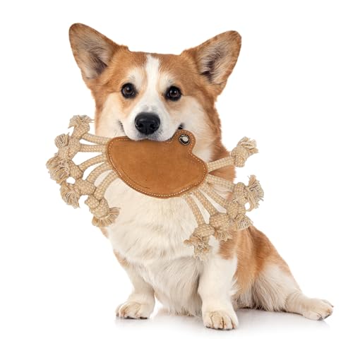 Emmi-pet Zerrspielzeug Krabbe - Stressabbau für Hunde I Zahnpflege I Quietschspielzeug für für Welpen, mittelgroß & große Hunde I Mit Kokosfaserfüllung I 1 Stück Hundespielzeug Krabbe von Emmi-pet