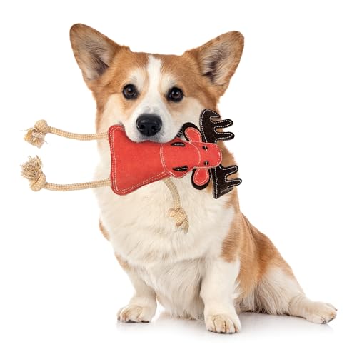 Emmi-pet Zerrspielzeug Xmas Rentier - Stressabbau für Hunde I Zahnpflege I Mit Kokosfaserfüllung I Ideal für Welpen, mittelgroß & große Hunde I 1 Stück Hundespielzeug Rentier von Emmi-pet