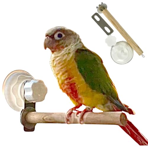 Bird Barch Stand mit Saugnapfbecher 6 Zoll Safe Naturholz Interaktive Vogelstangen für Wellensittich, Sittich, Lovebird Barches Bird Barch Stand mit Saugnapfbecher 6 Zoll Safe Naturholz Interaktive Vogelstangen für Wellensittich, Sittich, Lovebird Barches von Enbebamd