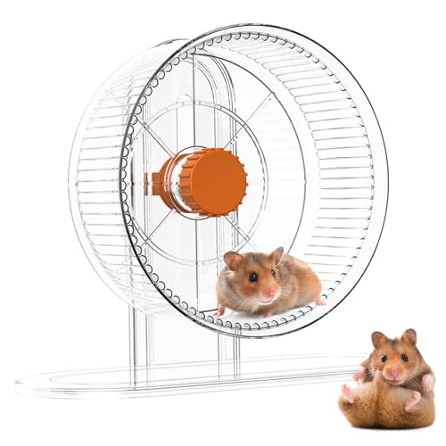 Hamsterrad, Höhenverstellbar transparent 8.86x10.63x8, 27 Zoll PP Plastik Stummes Hamsterrad für Hamster, Rennmäuse, Mäuse und kleine Tiere Hamsterrad, Höhenverstellbar transparent 8.86x10.63x8, 27 Zoll PP Plastik Stummes Hamsterrad für Hamster, Rennmäuse, Mäuse und kleine Tiere von Enbebamd