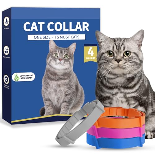 Katzenhalsband, wasserabweisend, weiches Gummi, verstellbare Halsbänder für Katzen – große, mittelgroße und kleine Katzen (Rosa, Blau, Orange, Grau, 38 cm) von Enchvi