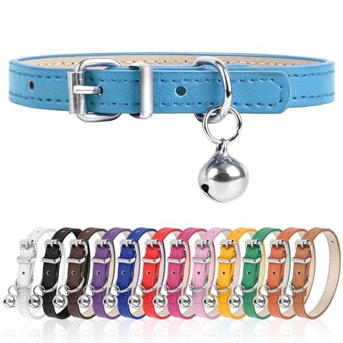 L Hundehalsband für kleine Hunde, verstellbares Hundehalsband, Katzenhalsband für kleine, mittelgroße und große Hunde, 3 cm Breite (Blau, L) von Engorgio