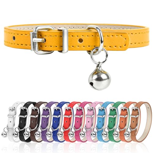 L Hundehalsband für kleine Hunde, verstellbares Hundehalsband, Katzenhalsband für kleine, mittelgroße und große Hunde, 3 cm breit (Gold, L) von Engorgio
