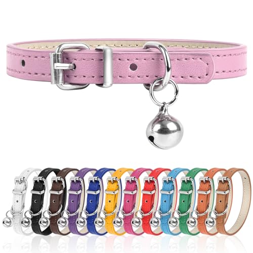 L Hundehalsband für kleine Hunde, verstellbares Hundehalsband, Katzenhalsband für kleine, mittelgroße und große Hunde, 3 cm Breite (Rosa, L) von Engorgio