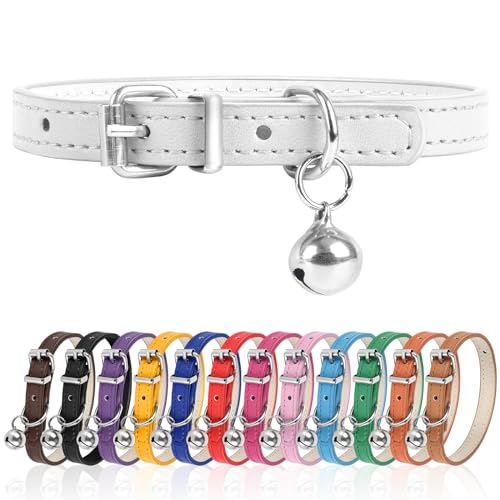 L Hundehalsband für kleine Hunde, verstellbares Hundehalsband, Katzenhalsband für kleine, mittelgroße und große Hunde, 3 cm Breite (Weiß, L) von Engorgio