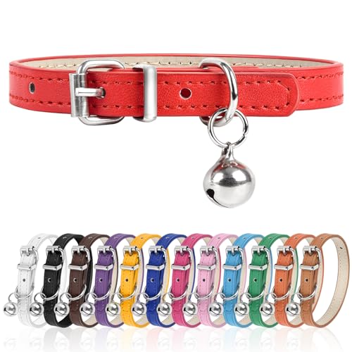 M Hundehalsband für kleine Hunde, verstellbares Hundehalsband, Katzenhalsband für kleine, mittelgroße und große Hunde, 2,5 cm breit (Rot, M) von Engorgio