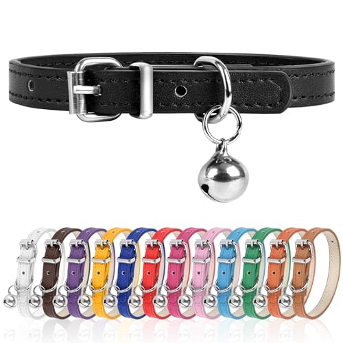 M Hundehalsband für kleine Hunde, verstellbares Hundehalsband, Katzenhalsband für kleine, mittelgroße und große Hunde, 2,5 cm breit (Schwarz, M) von Engorgio