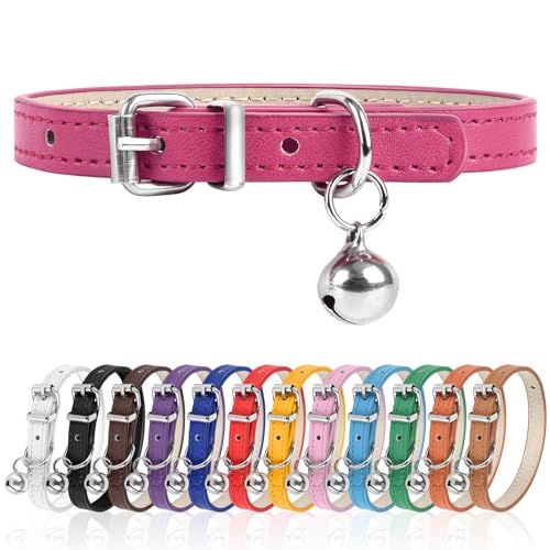 Engorgio XXS Hundehalsband für Teetasse, verstellbares Teetassen-Hundehalsband für kleine, mittelgroße und große Hunde, 0,95 cm Breite (XXS, HotPink) von Engorgio