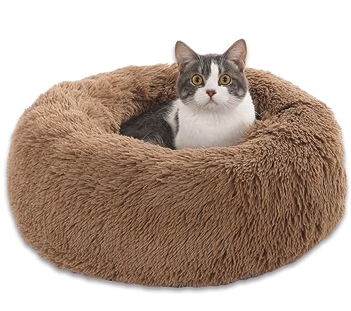 Enjamoy Hundebett Flauschig Donut Plüsch Katzenbett Hundekissen, Waschbar Rund Hundebetten für Kleine, Mittelgroße Hunde Katzen, Braun 50cm Enjamoy Hundebett Flauschig Donut Plüsch Katzenbett Hundekissen, Waschbar Rund Hundebetten für Kleine, Mittelgroße Hunde Katzen, Braun 50cm von Enjamoy