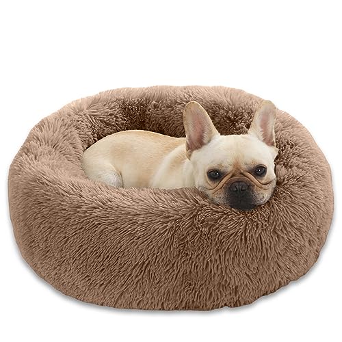 Enjamoy Hundebett Flauschig Donut Plüsch Katzenbett Hundekissen, Waschbar Rund Hundebetten für Kleine, Mittelgroße Hunde Katzen, Braun 58cm Enjamoy Hundebett Flauschig Donut Plüsch Katzenbett Hundekissen, Waschbar Rund Hundebetten für Kleine, Mittelgroße Hunde Katzen, Braun 58cm von Enjamoy