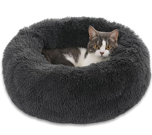 Enjamoy Hundebett Flauschig Donut Plüsch Katzenbett Hundekissen, Waschbar Rund Hundebetten für Kleine, Mittelgroße Hunde Katzen, Dunkelgrau 50cm Enjamoy Hundebett Flauschig Donut Plüsch Katzenbett Hundekissen, Waschbar Rund Hundebetten für Kleine, Mittelgroße Hunde Katzen, Dunkelgrau 50cm von Enjamoy
