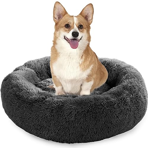 Enjamoy Hundebett Flauschig Donut Plüsch Katzenbett Hundekissen, Waschbar Rund Hundebetten für Kleine, Mittelgroße Hunde Katzen, Dunkelgrau 70cm Enjamoy Hundebett Flauschig Donut Plüsch Katzenbett Hundekissen, Waschbar Rund Hundebetten für Kleine, Mittelgroße Hunde Katzen, Dunkelgrau 70cm von Enjamoy