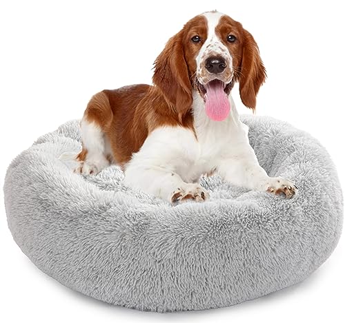 Enjamoy Hundebett Flauschig Donut Plüsch Katzenbett Hundekissen, Waschbar Rund Hundebetten für Kleine, Mittelgroße Hunde Katzen, Hellgrau 80cm Enjamoy Hundebett Flauschig Donut Plüsch Katzenbett Hundekissen, Waschbar Rund Hundebetten für Kleine, Mittelgroße Hunde Katzen, Hellgrau 80cm von Enjamoy