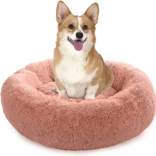 Enjamoy Hundebett Flauschig Donut Plüsch Katzenbett Hundekissen, Waschbar Rund Hundebetten für Kleine, Mittelgroße Hunde Katzen, Rosa 70cm Enjamoy Hundebett Flauschig Donut Plüsch Katzenbett Hundekissen, Waschbar Rund Hundebetten für Kleine, Mittelgroße Hunde Katzen, Rosa 70cm von Enjamoy