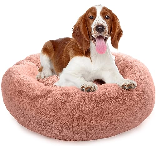 Enjamoy Hundebett Flauschig Donut Plüsch Katzenbett Hundekissen, Waschbar Rund Hundebetten für Kleine, Mittelgroße Hunde Katzen, Rosa 80cm Enjamoy Hundebett Flauschig Donut Plüsch Katzenbett Hundekissen, Waschbar Rund Hundebetten für Kleine, Mittelgroße Hunde Katzen, Rosa 80cm von Enjamoy