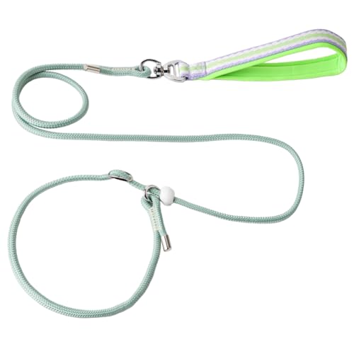 Retrieverleine für Hunde, verstellbares Halsband, verhedderungsfrei, 1,5 m, dünn, Trainingsleine, Anti-Ziehen, Anti-Ersticken, Nylon, für Welpen, kleine, mittelgroße und große Hunde, Grün von Enjiror