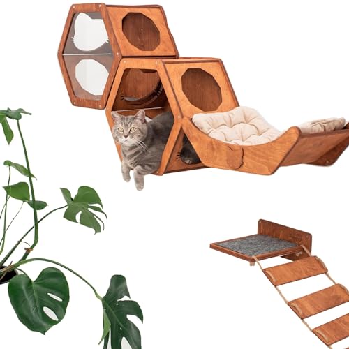 Wand-Katzenregale aus Holz, Katzenwandregale, Katzenmöbel – Katzenregal aus Holz, Wandmontage, Katzenwandmöbel – Indoor-Katzen, rustikale Katzendekoration, Katzenliebhaber, Geschenk Wand-Katzenregale aus Holz, Katzenwandregale, Katzenmöbel – Katzenregal aus Holz, Wandmontage, Katzenwandmöbel – Indoor-Katzen, rustikale Katzendekoration, Katzenliebhaber, Geschenk von Enjoy The Wood
