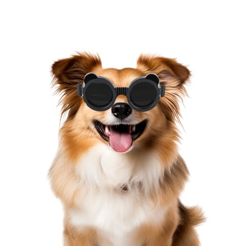 Enjoying Brille für kleine Hunde, Panda-Stil, UV-Gläser, für kleine Hunde, Augenschutz, Katzen-Brille, Anti-Beschlag, winddicht, schneefest, Schwarz von Enjoying