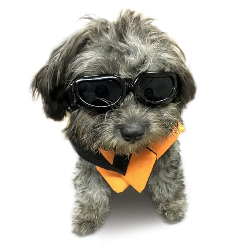 Enjoying Kleine Hundebrille Schutzbrille für Hunde Kleiner Rassen UV-Schutz Augenschutz Winddichte Anti-Fog-Haustierbrille für Hunde über 5 lbs, Schwarz von Enjoying