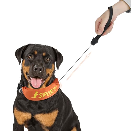Enjoying Halsband Integrierte Leine, Hundehalsband mit Integrierter Leine, Verstellbares Halsband, Orange von Enjoying
