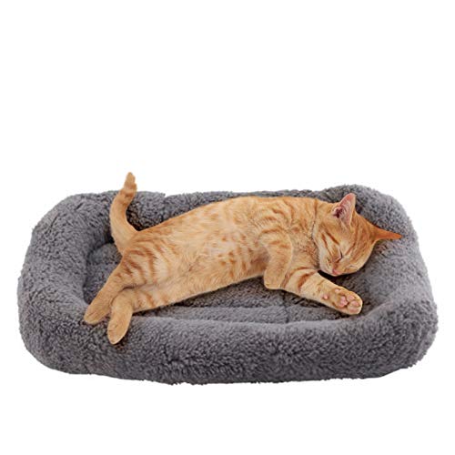 Enjoying Haustierbett Matte 26 x 38 cm Katzenbett für Welpen Katze Schlafen, rutschfeste Unterseite Hundebett, Grau von Enjoying