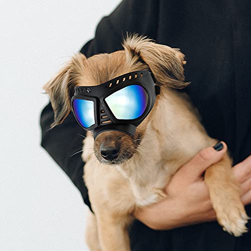 Enjoying Kleine Hundebrille, Anti-UV-Hunde-Sonnenbrille, Weiche Haustier-Motorradbrille, Beschlagfrei, Winddicht, Bruchsicher, Hundebrille für Kleine bis Mittelgroße Hunde, Blau von Enjoying