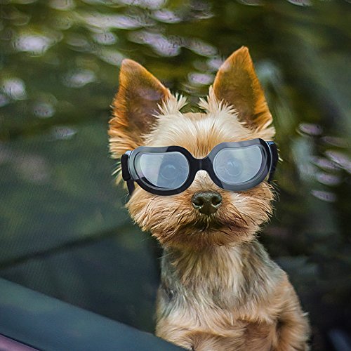 Enjoying Hundebrille für Kleine Hunde Sonnenbrille UV-Schutz Schneesicher Winddicht Gläser mit flexiblen Riemen für Welpen Katzen, Schwarz von Enjoying