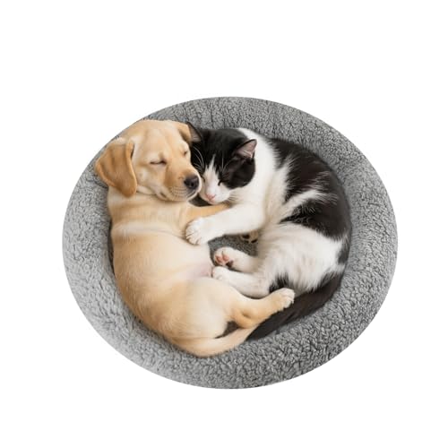 Enjoying Plüsch-Katzenbett-Matte, Durchmesser 50 cm, rundes Kissen mit Kissen für Katzen, Hunde, erholsames Schlafen, warmes Hundekissen für Kisten, rutschfeste Unterseite, groß, Grau Enjoying Plüsch-Katzenbett-Matte, Durchmesser 50 cm, rundes Kissen mit Kissen für Katzen, Hunde, erholsames Schlafen, warmes Hundekissen für Kisten, rutschfeste Unterseite, groß, Grau von Enjoying