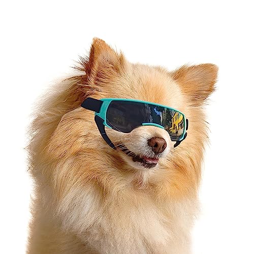 Enjoying Sonnenbrille für Kleine Hunde, UV-Schutz, Winddicht, Beschlagfrei, Hundebrille für Haustiere, Blau von Enjoying