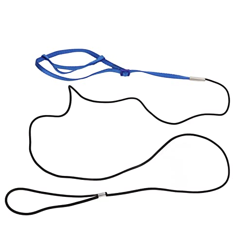 Entatial Papageiengeschirr Leine, Bissfeste Vogel Nylon Leine Hook Design Seidige Textur für Vögel für Papageien(Saphir, m) von Entatial