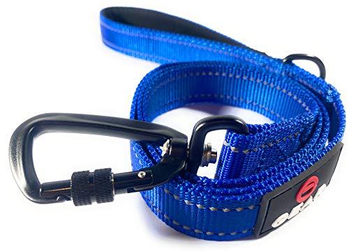 Enthusiast Gear Hundeleine aus Nylon, mit Karabinerverschluss, für große und mittelgroße Rassen, strapazierfähig, reflektierend, Nylon-Leine mit gepolstertem Griff für den täglichen Gehen, Laufen, Training, 1,2 m oder 1,8 m lang Enthusiast Gear Hundeleine aus Nylon, mit Karabinerverschluss, für große und mittelgroße Rassen, strapazierfähig, reflektierend, Nylon-Leine mit gepolstertem Griff für den täglichen Gehen, Laufen, Training, 1,2 m oder 1,8 m lang von Enthusiast Gear