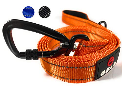 Robuste Hundeleine mit Karabiner, reflektierende Nylonleine mit gepolstertem Griff oder doppelten Verkehrsgriffen, perfekt zum Gehen, Training und Wandern für große, mittelgroße und kleine Hunde Robuste Hundeleine mit Karabiner, reflektierende Nylonleine mit gepolstertem Griff oder doppelten Verkehrsgriffen, perfekt zum Gehen, Training und Wandern für große, mittelgroße und kleine Hunde von Enthusiast Gear