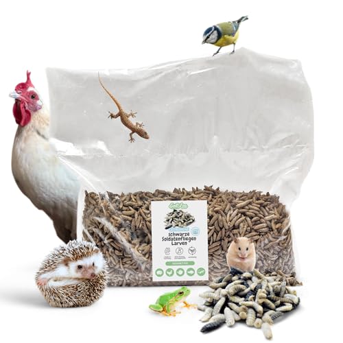 EntoZoo - Gefrorene Schwarze Soldatenfliegen Larven Black Soldier Fly Futterinsekten, Vogelfutter, Igelfutter, Fischfutter, proteinreicher Snack für Reptilien Made in Germany (2 Kg) von EntoZoo