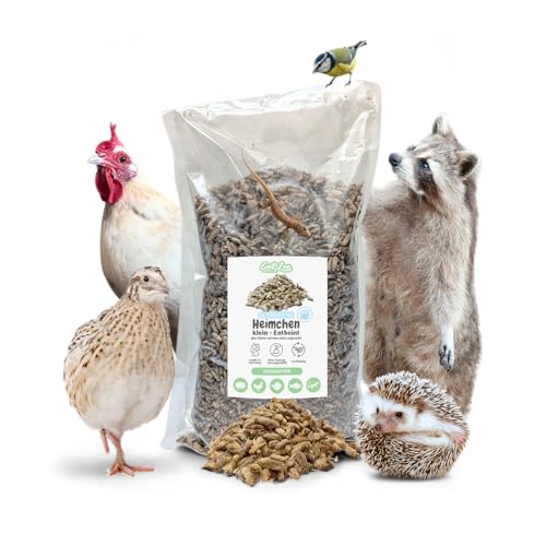 EntoZoo - Heimchen, Grillen, Acheta Domesticus, gefroren, Made in Germany, Vogelfutter, Reptilienfutter (1 Kg, Klein) von EntoZoo