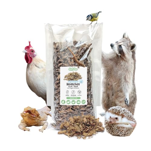 EntoZoo - Heimchen, Grillen, Acheta Domesticus, gefroren, Made in Germany, Vogelfutter, Reptilienfutter (15 Kg, Groß - Adult) von EntoZoo