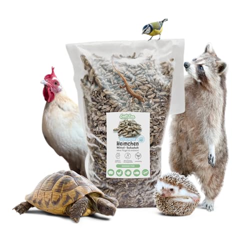 EntoZoo - Heimchen, Grillen, Acheta Domesticus, gefroren, Made in Germany, Vogelfutter, Reptilienfutter (15 Kg, Mittel - Subadult) von EntoZoo